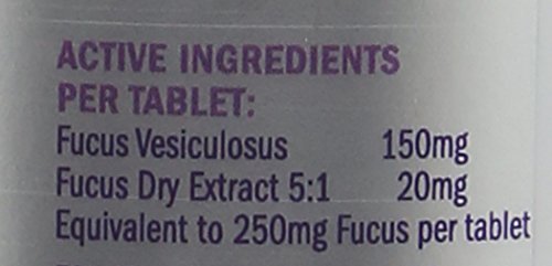 Dorwest Herbs Kelp Seaweed Tablets for Dogs and Cats 200 Tablets - Image 6