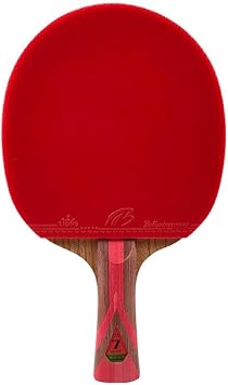 Professional Table Tennis Bat, 7-Star Table Tennis Racket, High Performance Ping Pong Bat for Beginners and Advanced PlayersColorLong Handle