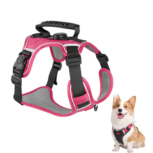 �� �n�[�l�X AirTag���[�P�[�X�t�� ���p�n�[�l�X ���p���� ���^�� ���^�� ��^�� ��������h�~ �h���t�n���h���t�� ��Ԕ��� �ʋC���b�V�� �T�C�Y�����\ �ϖ���PVC�f�� �����^�b�`�o�b�N�� �y�b�g�n�[�l�X �y�b�g�p�i CKMYMISE (���[�Y