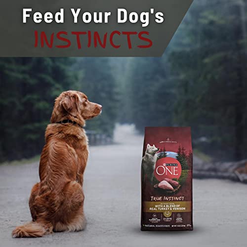 Purina One True Instinct Dog Food Turkey And Venison Bundle | Includes 1 Bag Of Purina One Turkey And Venison Dry Dog Food (7.4 Lb) | Plus Paw Food Scoop! #TOP1