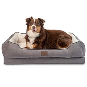 Lettino Ortopedico Premium per Cani Pet Craft Supply - Sfoderabile, Lavabile, Sollievo Artrite, Poggiatesta - Taglie S, M, L - Crema (8729)
