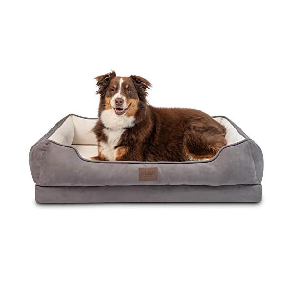 Pet Craft Supply Premium Orthopedic Lounger Dog Bed Sofa Style Couch Removable Washable Cover Joint Arthritis Relief Bolster Headrest Pet Bed for Small Dogs Medium Large Breed Dogs, Cream (8729) Pet Craft Supply Premium Orthopedic Lounger Dog Bed Sofa Style Couch Removable Washable Cover Joint Arthritis Relief Bolster Headrest Pet Bed for Small Dogs Medium Large Breed Dogs, Cream (8729)