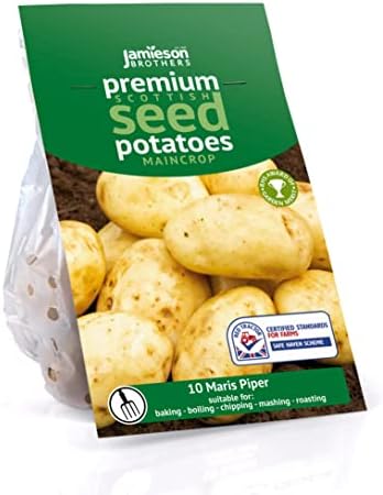 Jamieson Brothers 10 Tuber Charlotte Seed Potatoes  JBA Second Early Grow Your Own Spuds  for Salads, Mashing & Boiling  Scottish-Grown & Ready to Plant at Home in Pots, Gardens & Allotments