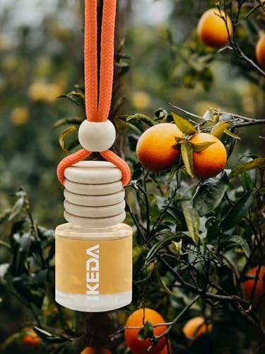 Image of IKEDA Car Air Freshener, Car Fresheners for Men & Women, 45+Day Long Lasting Fragrance Hanging Air Fresheners Scents, with Clip, Perfect for Auto and Home,Christmas,10ml, Citrus