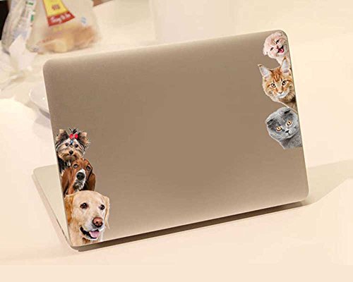 Zching 3D Removable Mural Stickers Wall Stickers Decal Wall Decor Home Decor Kids Room Bedroom Decor Living Room Decor Toilet Decoration(Cat Dog) #TOP5