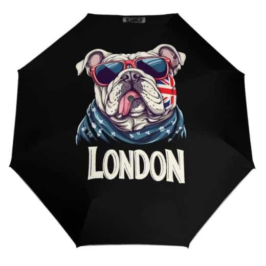 Stylish Folding Auto Umbrella for Travel