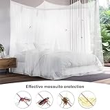 HEYIDAMAI B0CYBYXQ71 lato 4