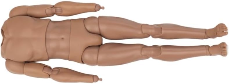 ximitoy 1/6 Male Soldier Body Hands Model for 12" Action Figures