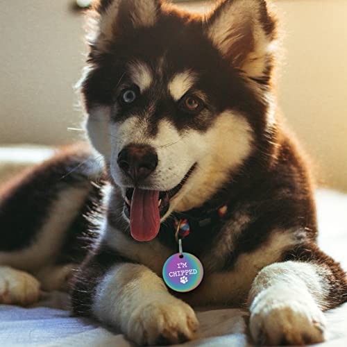 Renaissancey Funny Pet Tag Funny Dog Tag Dog Collar Tag Pet Id Tag Funny Dog And Cat Tags Engraved Pet Id Tags For Dogs - Personalized Stainless Steel Identification Tags, I'm Chipped #TOP2