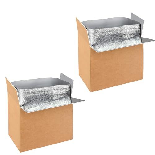 Image of YSSOA 2 Pack Insulated Shipping Boxes with Aluminum Foil Liner,Thermal Insulation Cold Pack Shipping Boxes for Frozen, Reusable Styrofoam Cooler Box, Small Mailing Box, 19'' x 12'' x 16''