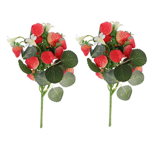 ORFOFE 2_ ͑i   e[u  ʐ^ u    AWg   ʕ  ʕ ʐ^    I[ig