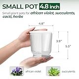 Zoom IMG-1 t4u vaso per piante autoirrigante Zoom IMG-1 t4u vaso per piante autoirrigante