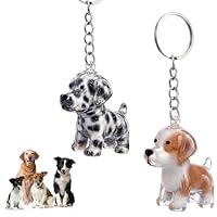 WJIAAA 2 Stück Hundehaarsammler Schlüsselanhänger für Tierliebhaber, DIY Transparente Katzenhaarsammler Hundehaar-Anhänger, tragbare Erinnerungskapsel mit Schlüsselring für Hunde & Katzen