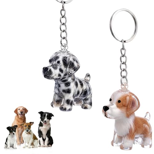 WJIAAA 2 Stück Hundehaarsammler Schlüsselanhänger für Tierliebhaber, DIY Transparente Katzenhaarsammler Hundehaar-Anhänger, tragbare Erinnerungskapsel mit Schlüsselring für Hunde & Katzen