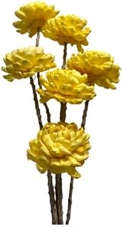 Organic Sola Wood Chrysanthemum Flower Branch Drop-in Bouquet, 6 Stems, Handmade in India, Dried Tapioca Plant, Dried Florals, for Bridal, Bridesmaid, Quinceañera, Special Occasions