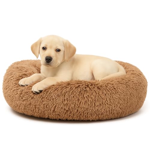 Image of ZEXSAZONE Summer Comfortable Washable and Lightweight on Both Sides usable cat Bed l pet Bed l Puppy Bed for Small and Medium Size cat, Puppy, Dogs pet Bed Brown S Size Season