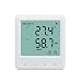 YEM-20L Digital LCD Display Wall Hygrometer Thermometer with Humidity Temperature Data Logger