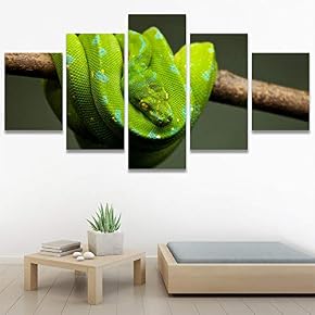 SIGNWIN 5 Panel Canvas Wall Art Coiling Around...