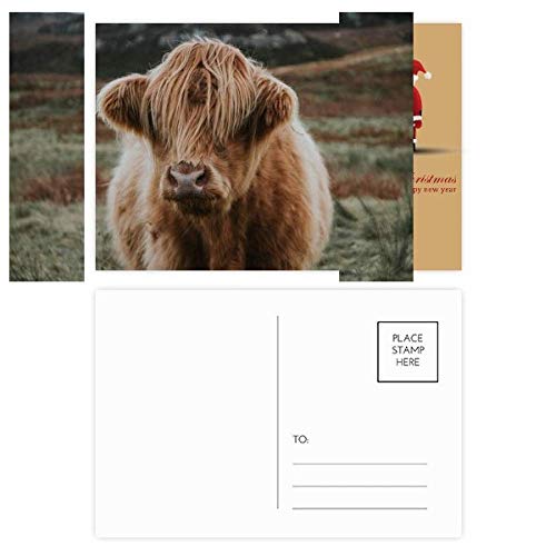Cartes postales buffle Père Noël Terrestrial Organism (lot de 20)