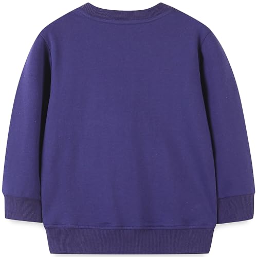 Image of Popshion Toddler Boys Sweatshirts Dinosaur Long Sleeve Pullover Crewneck Shirts Cartoon Tee Sport Tops for Kids 1-8T