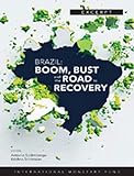road to brazil 2014 panini  Brazil: Boom, Bust, and Road to Recovery: boom, bust, and the road to recovery