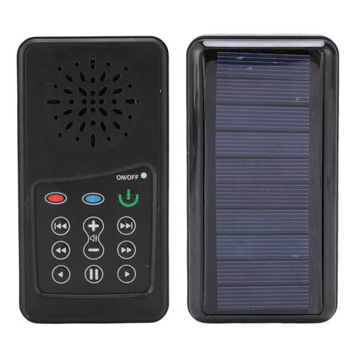 Biblia en audio solar de 8GB para escuchar las escrituras en el jardín o paseos