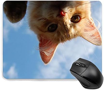 Amazon マウスパッド かわいい 猫 猫柄 萌え 人気 キャラクター 萌え おしゃれ 滑り止めマウスパッド 22cm 18cm Hakanaii マウスパッド 通販