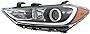 CarLights360: Fits Hyundai Elantra Headlight Assembly 2017 2018 Driver Side Halogen w/DRL Type DOT | HY2502204 | 92101-F3010