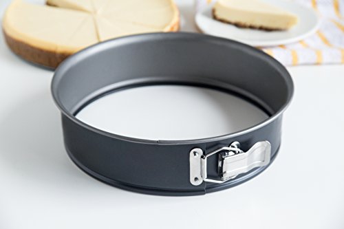 Fox Run Non-Stick Springform Pan, 9-Inch #TOP6