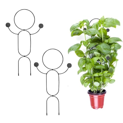 Image of ecofynd 16 Inch Metal Trellis for Climbing Plants, Garden Trellis for Potted Plants, Plant Support for Vegetables, Vines and Flowers, Indoor Outdoor Decor (2 Pack, Black, TR016)