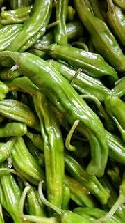 Fresh Shishito Chili Peppers 1 lb.