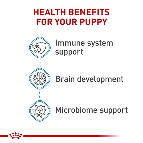 Royal Canin Medium Puppy Wet Dog Food, 4.9 Oz Cans 10-Count #TOP5