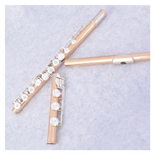 CL[⃁bLfރS[h17t[gvtFbViy t[g؊Ǌy