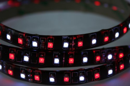Tira de luces LED de 24V color dual rojo/blanco miniatura 2
