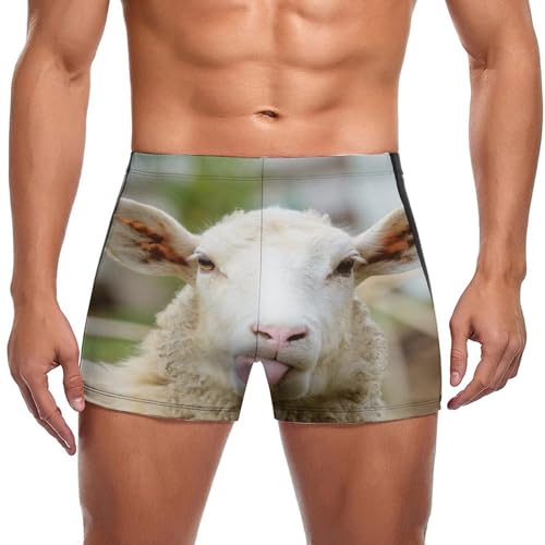 Boxer de bain homme Mouton Mignon pour vos vacances plage et piscine