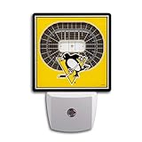 YouTheFan NHL Pittsburgh Penguins StadiumView Nite Light