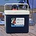 harayaa Cooler Box Ice Box Cold Storage 20L with Handle Ice Chest Small Hard Insulated Box for Beach Picnic Camping Party Commercial, Blue