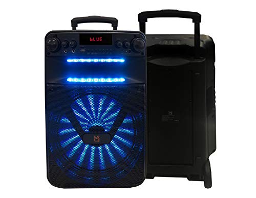 Crazy Clearance Mr. Dj ACE 15" Portable Speaker Buitl-in App Mobile, Bluetooth, FM Radio, USB/Micro SD Card, Rechargeable Battery & LED Party Light, 3500W P.M.P.O