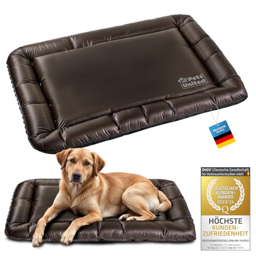 all Pets United® Hundekissen Hundebett Indoor & Outdoor; Hunde-Kissen Hunde-Körbchen; Schlafplatz für Hund & Katzen (L - 100x70 cm)