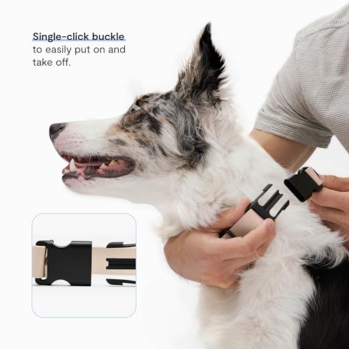 FABLE Signature Collar - Lightweight, Waterproof, & Durable Dog Collar - Coated Webbing Collar with Aluminum Buckle - Easy On/Off & Re-Sizing - Easy to Clean - Blush - Small