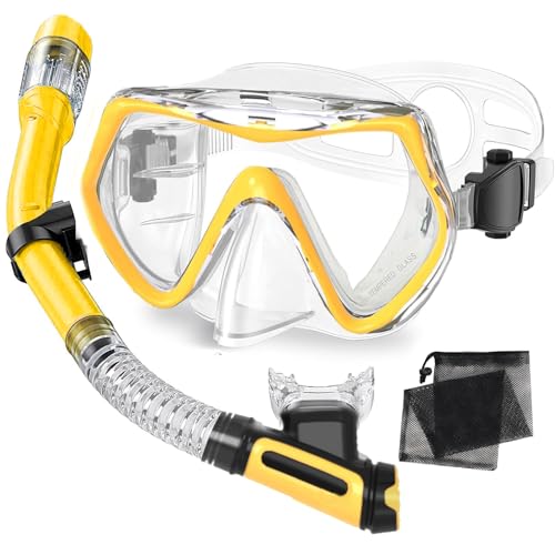 Snorkel Set Adults,Dry-Top Snorkeling Gear,Anti-Fog Tempered Glass Panoramic Mask, Anti-Leak Snorkelling Kit with Carry Bag for Swimming,Scuba Diving & Travel