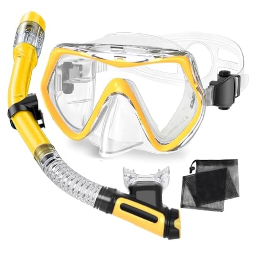 Snorkeling Gear for Adults,Dry-Top Snorkel Mask Set with Carry Bag,180° Panoramic View, Anti-Fog Anti-Leak Tempered Glass Diving Mask,Adjustable Snorkel Kit for Scuba Diving,Swimming,Snorkeling Travel