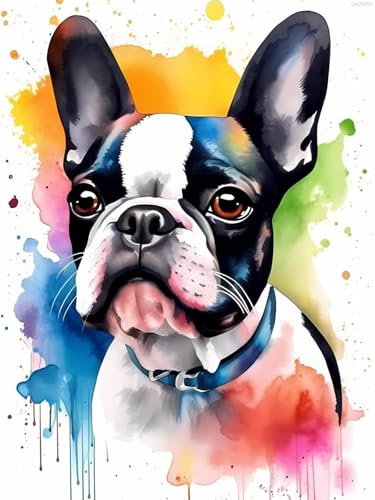 Kit peinture diamant Boston Terrier 5D art strass rond 30x40 cm