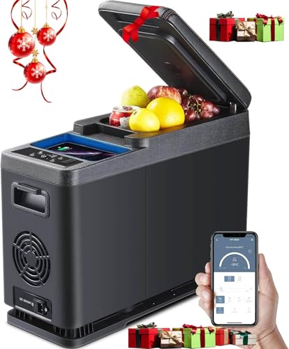 AAOBOSI Kompressor Kühlbox 8L, Kühlbox Auto -15℃-20℃,...