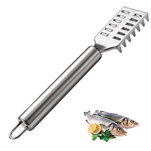 Fish Scale Remover,Stainless Steel with Grip Handle Fish Scale Scraper, Fast Cleaning Fish Skin Steel Brush Cleaner Descaler Fish Tools (Stainless_Steel)
