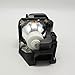 CTLAMP NP23LP/100013284 Replacement Projector Lamp NP23LP 100013284 Bulb with Housing Compatible with NEC NP-P401W NP-P451W NP-P451X NP-P501X NP-P501XG NP-PE501X PE501X