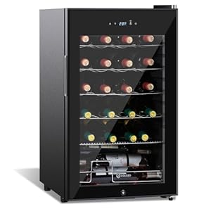 17 inch Wine Cooler Refrigerators Freestanding Under Counter Compact Bar Beverage Fridge 24 Bottle Countertop Double-Layer Tempered Glass Door Wine Cellars with Professional Compressor