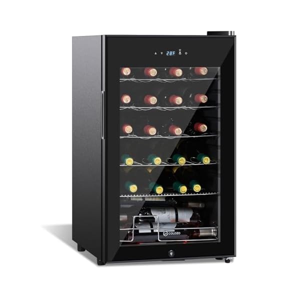 17 inch Wine Cooler Refrigerators Freestanding Under Counter Compact Bar Beverage Fridge 24 Bottle Countertop Double-Layer Tempered Glass Door Wine Cellars with Professional Compressor