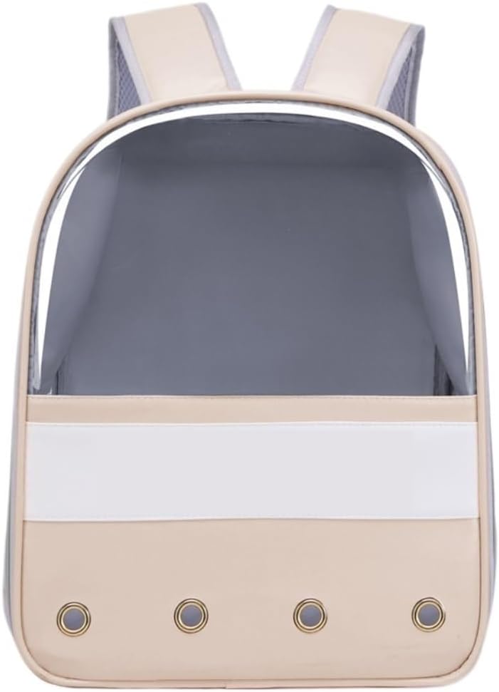 諸星和己☆Never give up!☆DVD未開封 - WWW.PREMIERCO-OP.COM