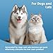 Cat Eye Wipes, Dog Eye Wipes, Eye Wipes for Dogs, Cat Wipes, Pet Wipes for Cats, Dog Tear Stain Remover, Cat Dental Care – Pet Eye Wipes for Cats: Tear Stain Cleaning Wipes, Daily Morning Cleanup